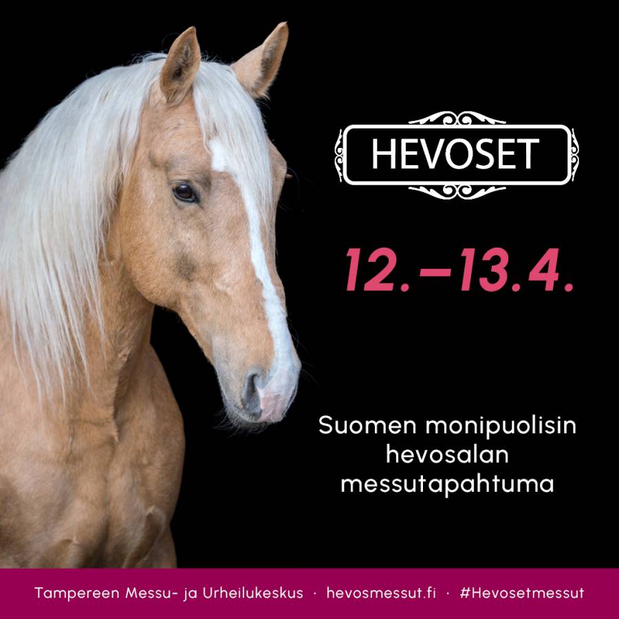 hevoset25-1080x1080_6277.jpg