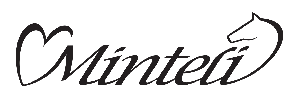 minteli_logo.gif