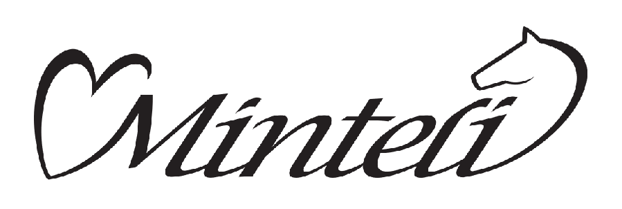 minteli_logo.gif
